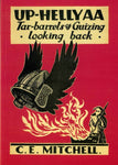 Up-Helly-Aa Tar Barrels & Guizing - Looking Back