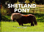 Spirit of the Shetland Pony