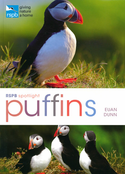 RSPB Spotlight Puffins