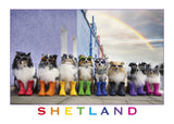 Shetland Collies and Klee Kai set of postcards