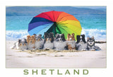 Shetland Collies and Klee Kai set of postcards