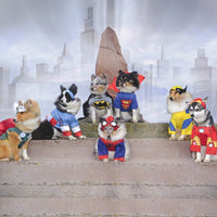Shetland Collies and Klee Kai Blank Greetings Cards
