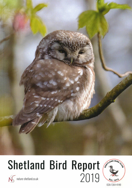 Shetland Bird Report 2019